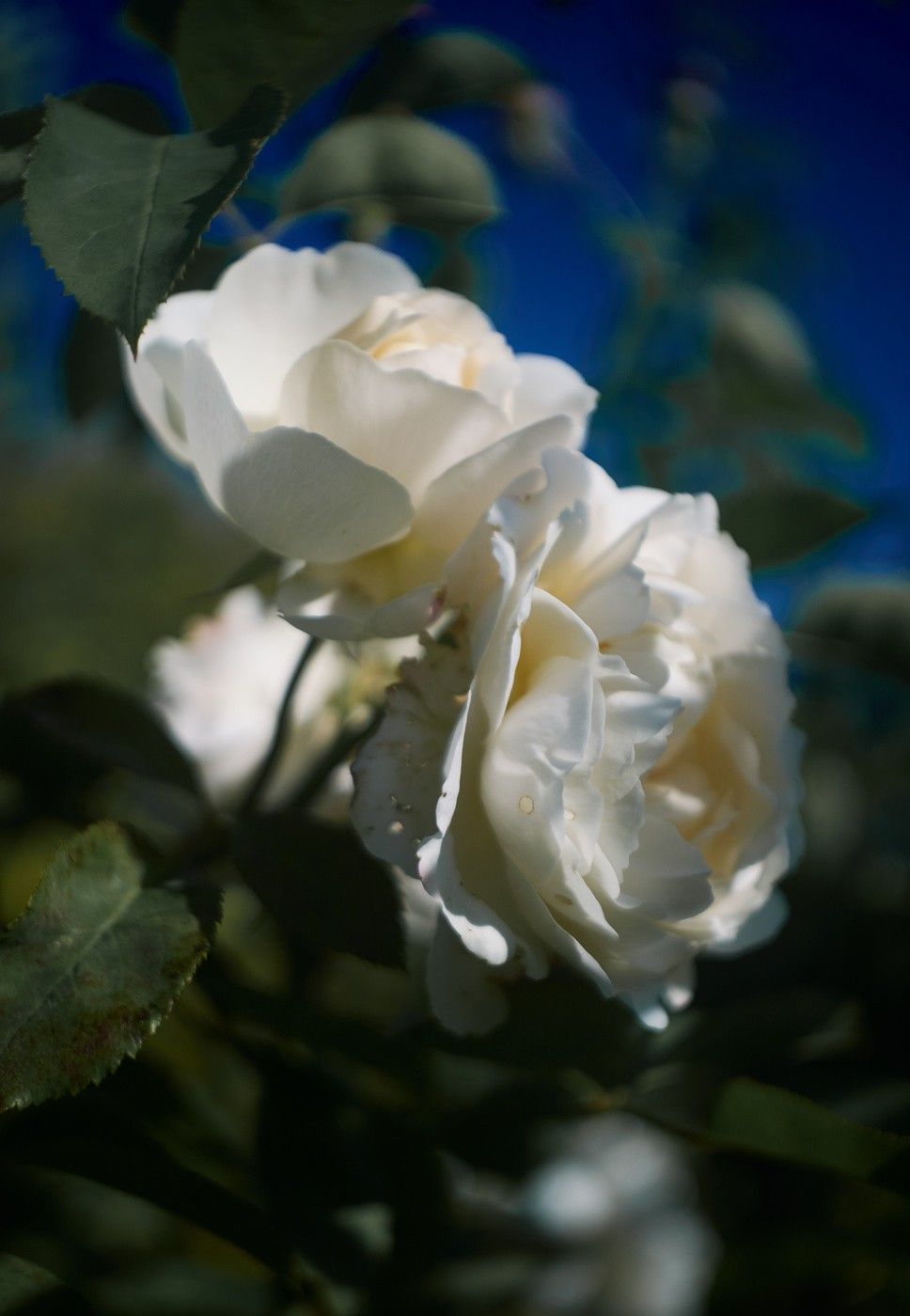 Фото